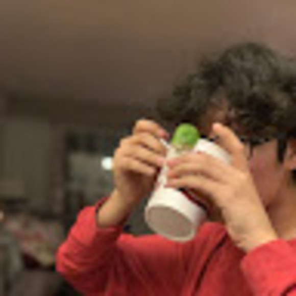 Meet your Posher, Rudy - Picture 1 of 1